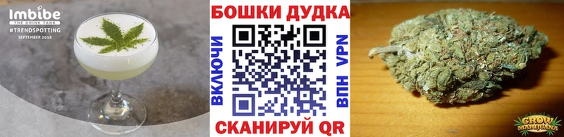 блэк спрут онион  Хилок  Cannafood конопля  цена  