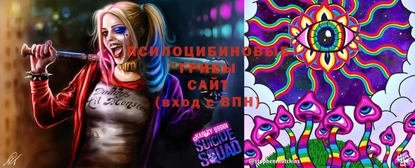 spice Абаза